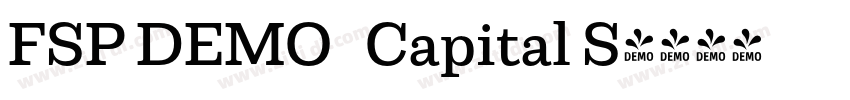 FSP DEMO   Capital S字体转换